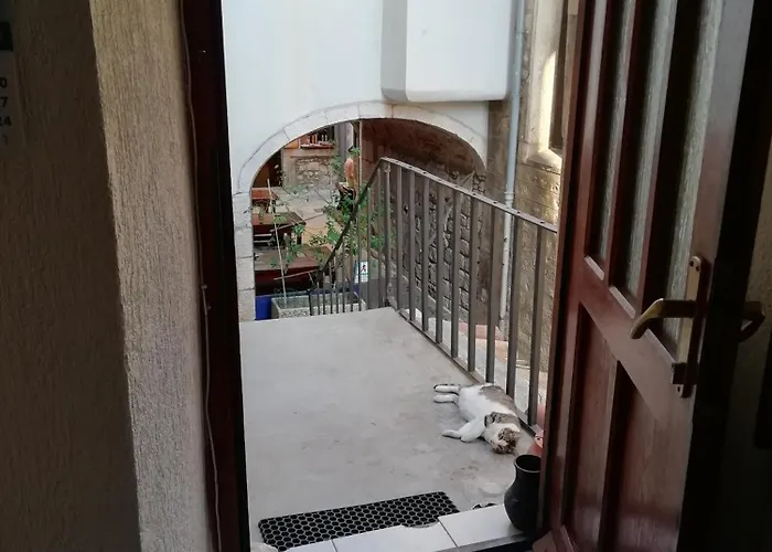 Daire Old Centar Cres